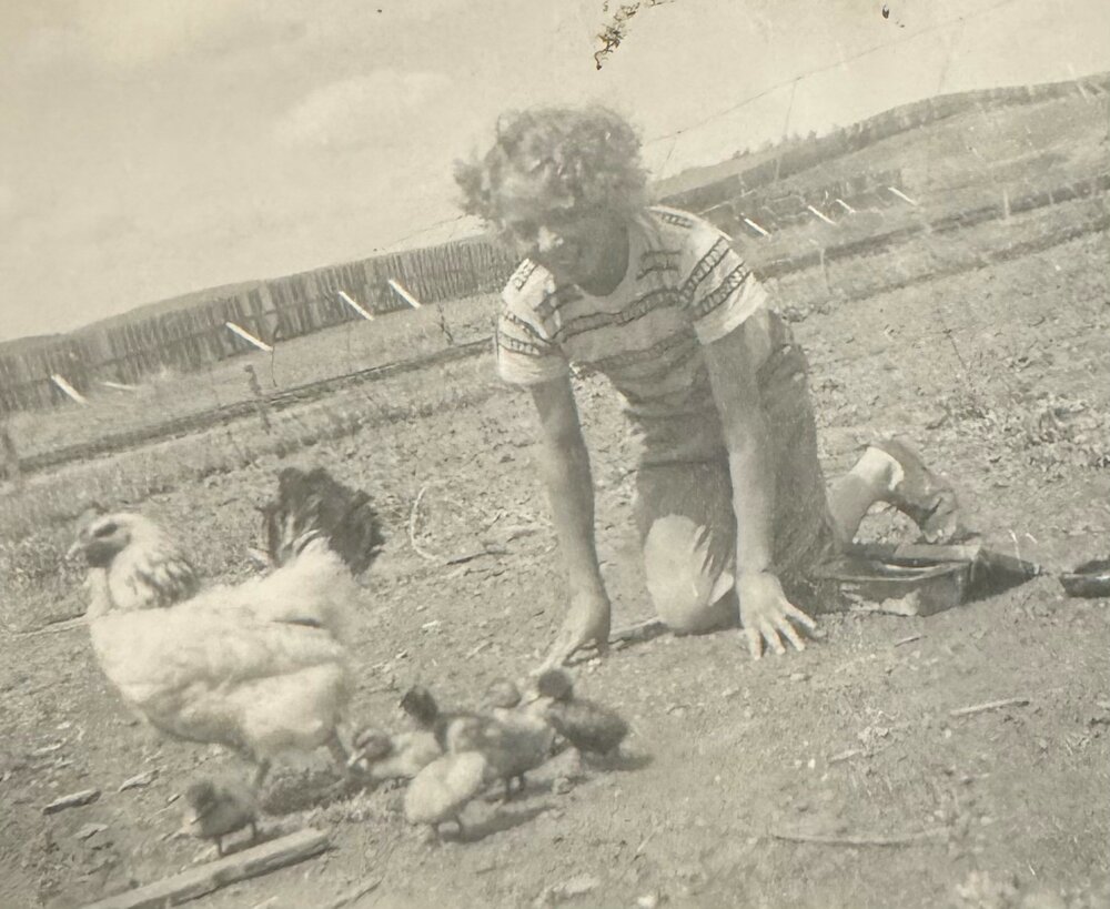 Ilene Bauman